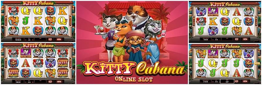 Kitty Cabana